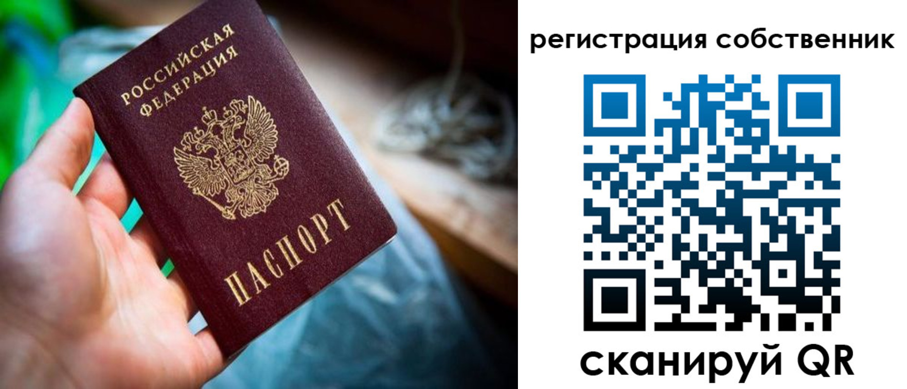 прописка гарантия в Коми
